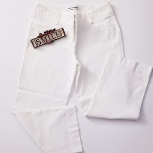 EXPRESS STUDIO PANTS